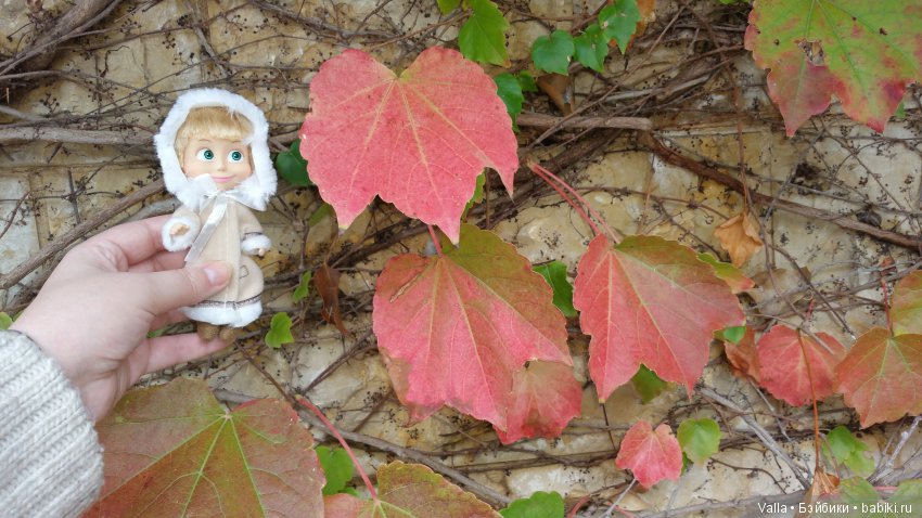 Предновогодняя прогулка с Машей (фото 9)