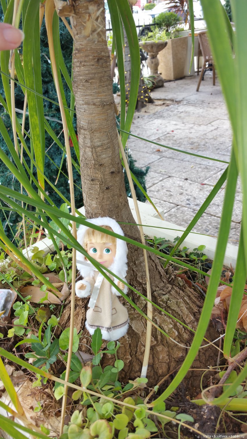 Предновогодняя прогулка с Машей (фото 6)