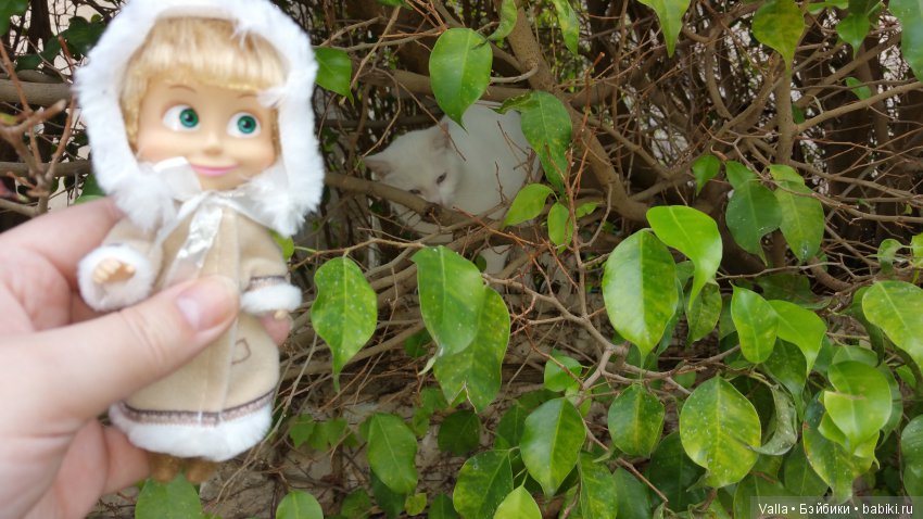 Предновогодняя прогулка с Машей