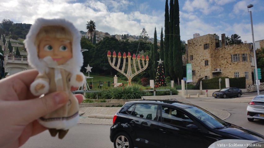 Предновогодняя прогулка с Машей (фото 4)