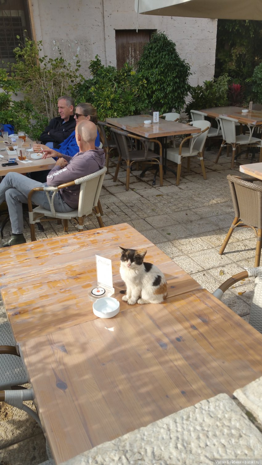 Предновогодняя прогулка с Машей