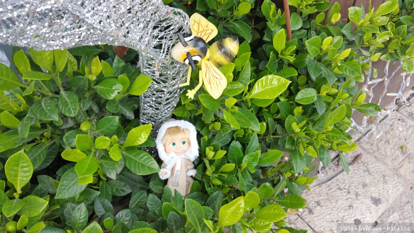 Предновогодняя прогулка с Машей