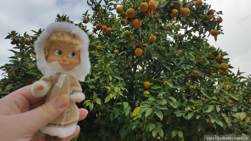 Предновогодняя прогулка с Машей