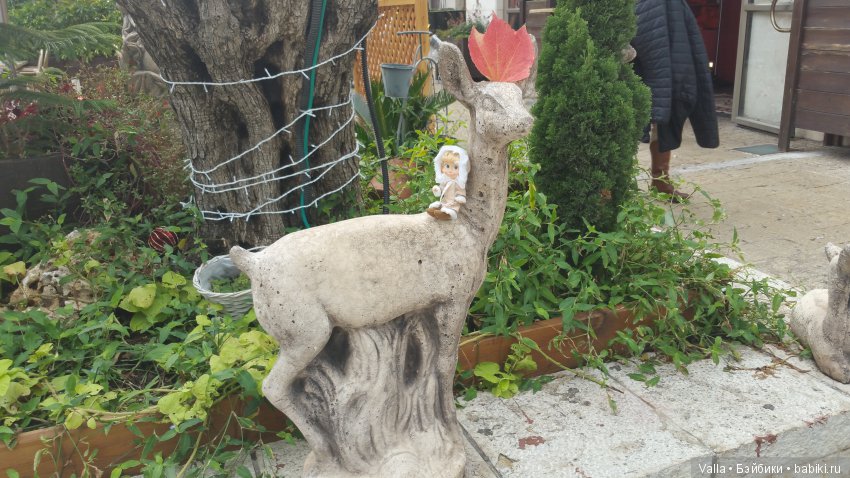 Предновогодняя прогулка с Машей