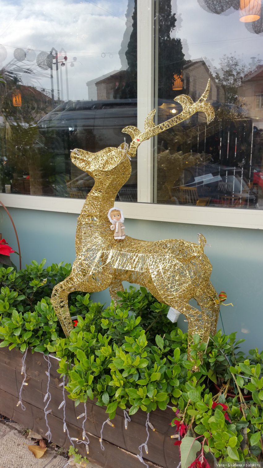 Предновогодняя прогулка с Машей