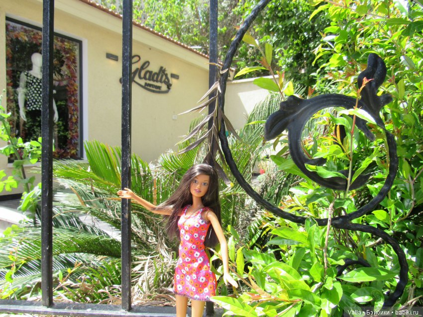 Орли в фотостудии. Начало