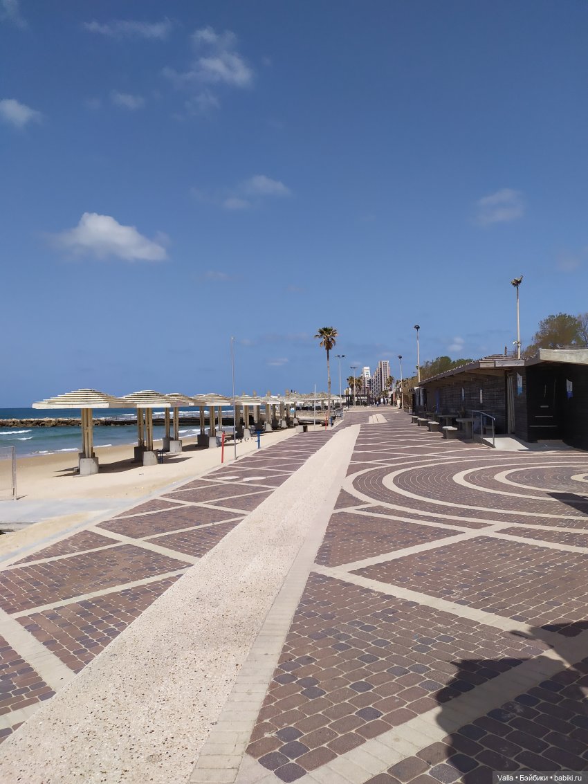 Последняя прогулка — Болталка и разговоры обо всем: жизнь (фото 5)