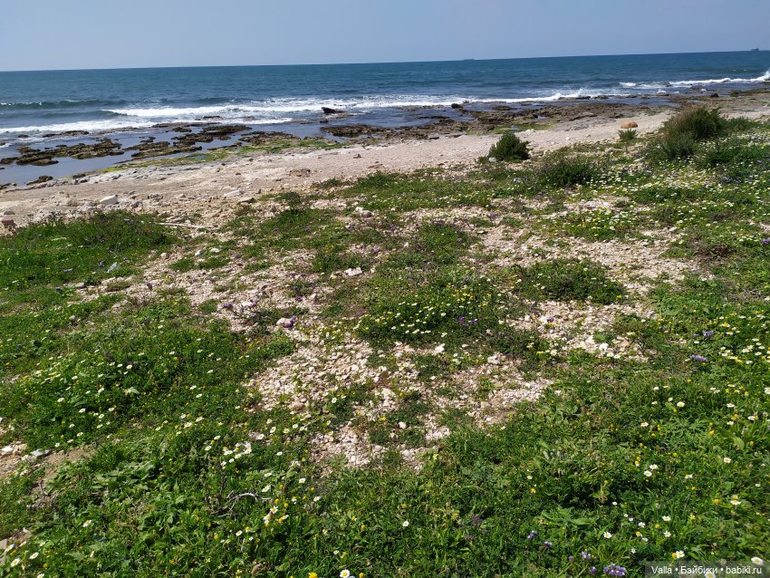 Последняя прогулка — Болталка и разговоры обо всем: жизнь