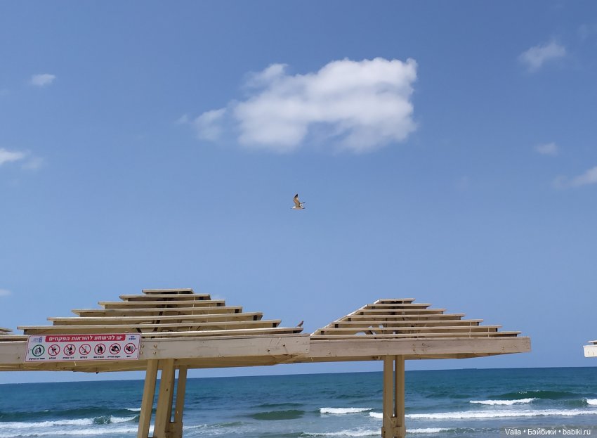 Последняя прогулка — Болталка и разговоры обо всем: жизнь (фото 4)