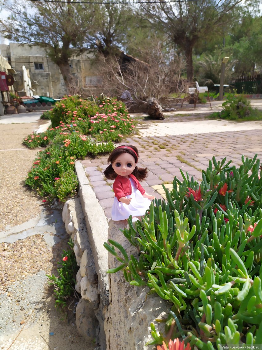 Последняя прогулка — Болталка и разговоры обо всем: жизнь (фото 9)