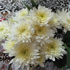 Хэллоуин или день рождения?