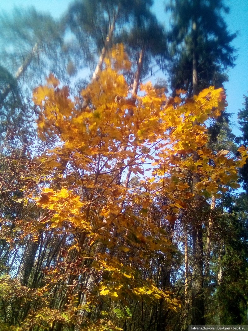 Пока еще нам дарит осень свои погожие деньки