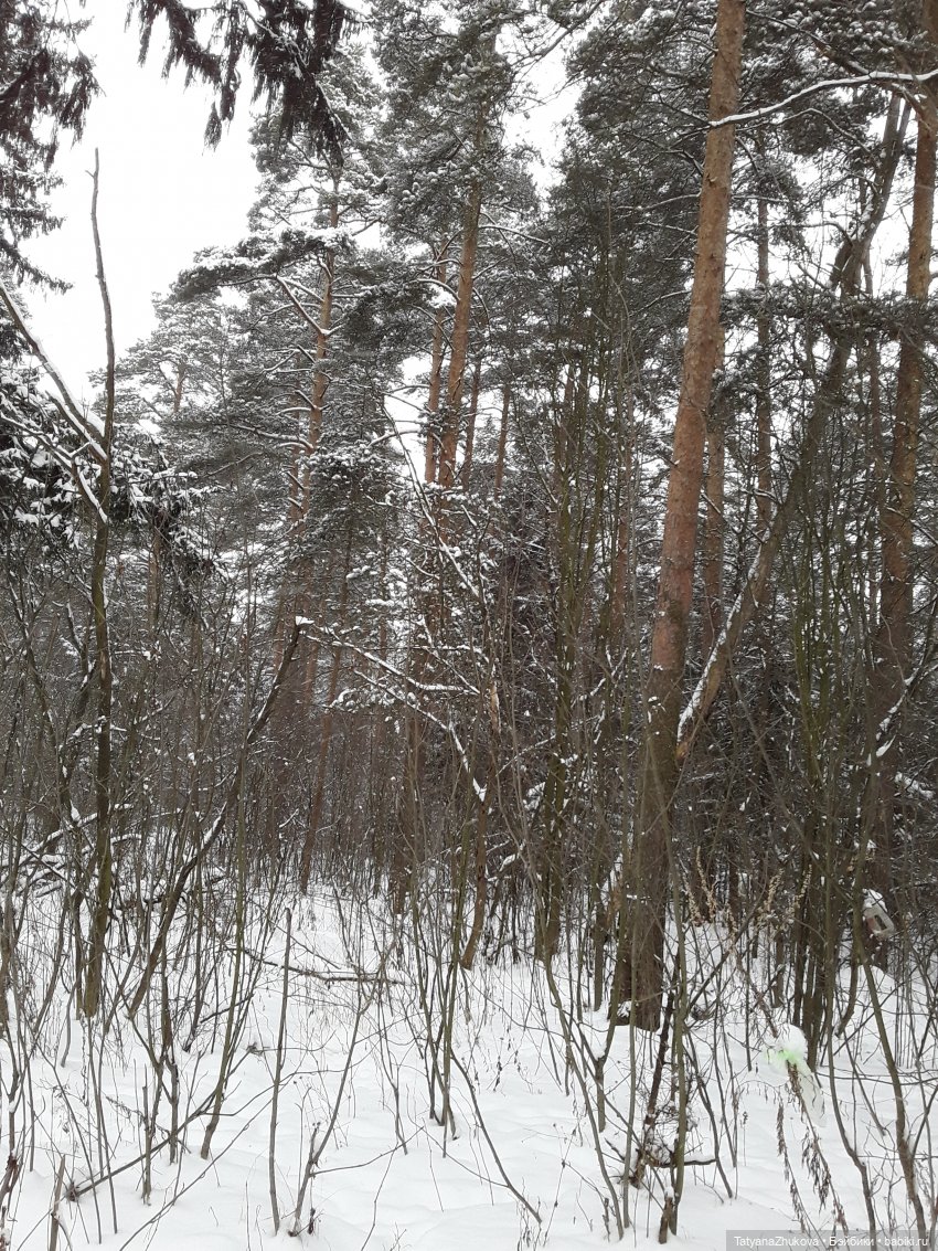 Веснушки-северушки — Российские куклы Весна (фото 3)