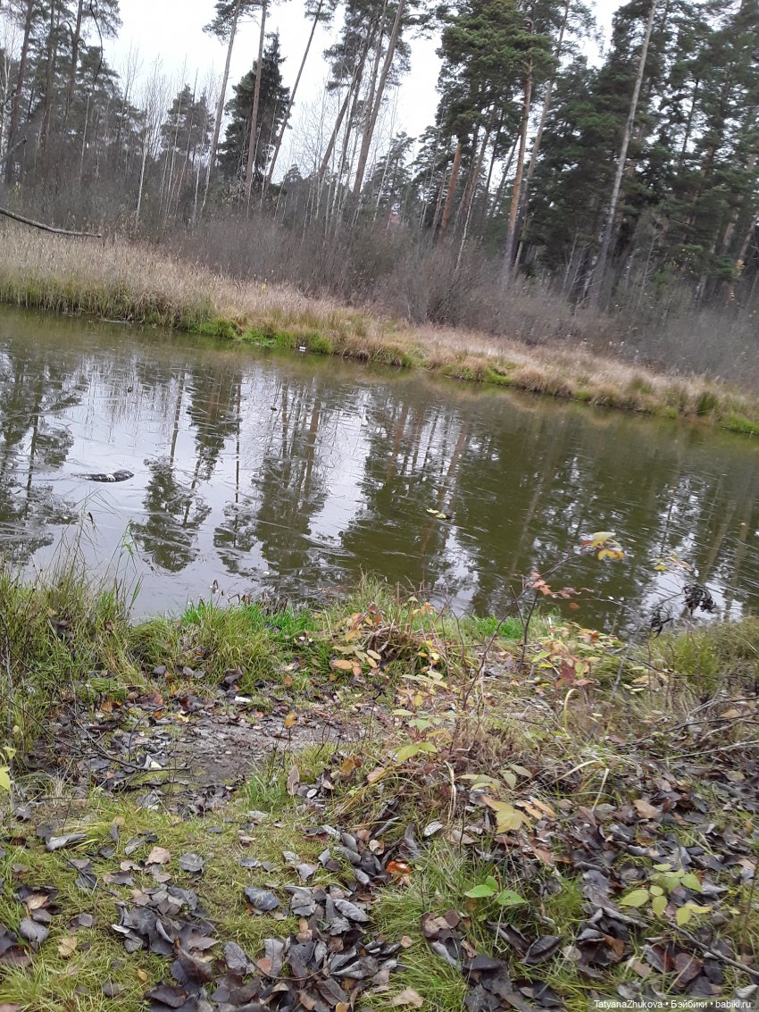 "Октябрь уже отцвел..." — Редкие антикварные куклы и реплики: воск (фото 4)