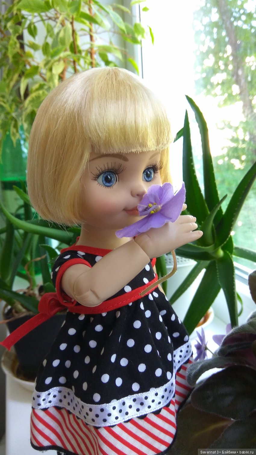 Путешествие в город гномов (фото 5)