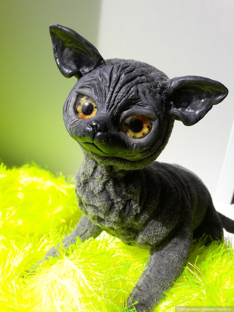 Кот Перчик Кот Перчик