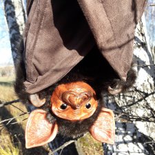 Летучая мышь