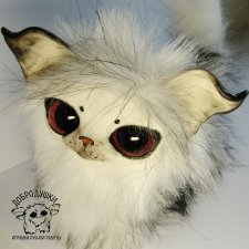 Котенок Аврора