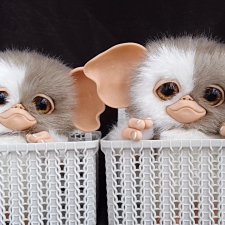 Мои милые малыши Магвайчики