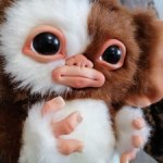 Могвай Гизмо 24см