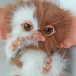 Могвай Гизмо 23см