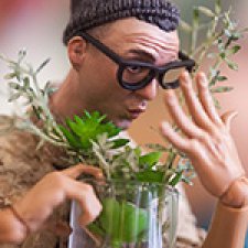 Идеальные ушки