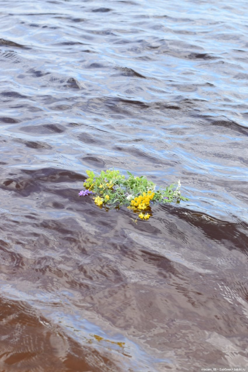 Просто природа... Просто цвергуши (фото 10)