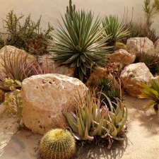 Каролинка и Марик. Отпуск. Кактусы. (ч.6)