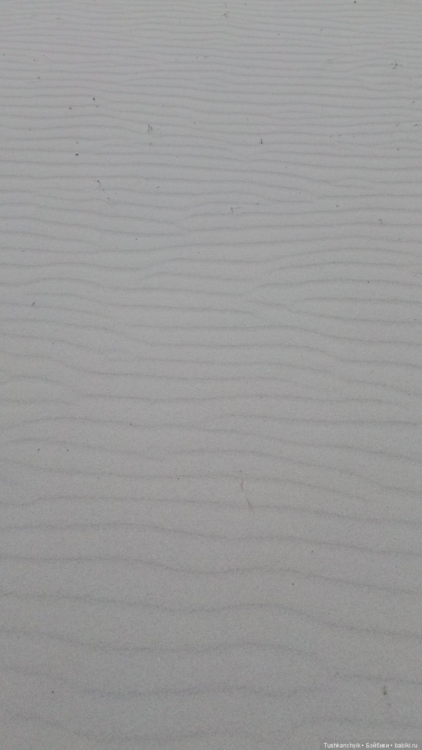 Каролинка и Марик. Отпуск. Пляж. (ч.8)