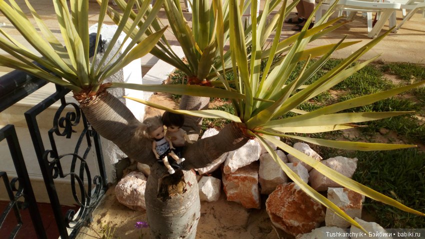 Каролинка и Марик. Отпуск. Экстрим, ч.10 (фото 3)