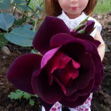 Хлоюшка Kruselings. Прогулочка