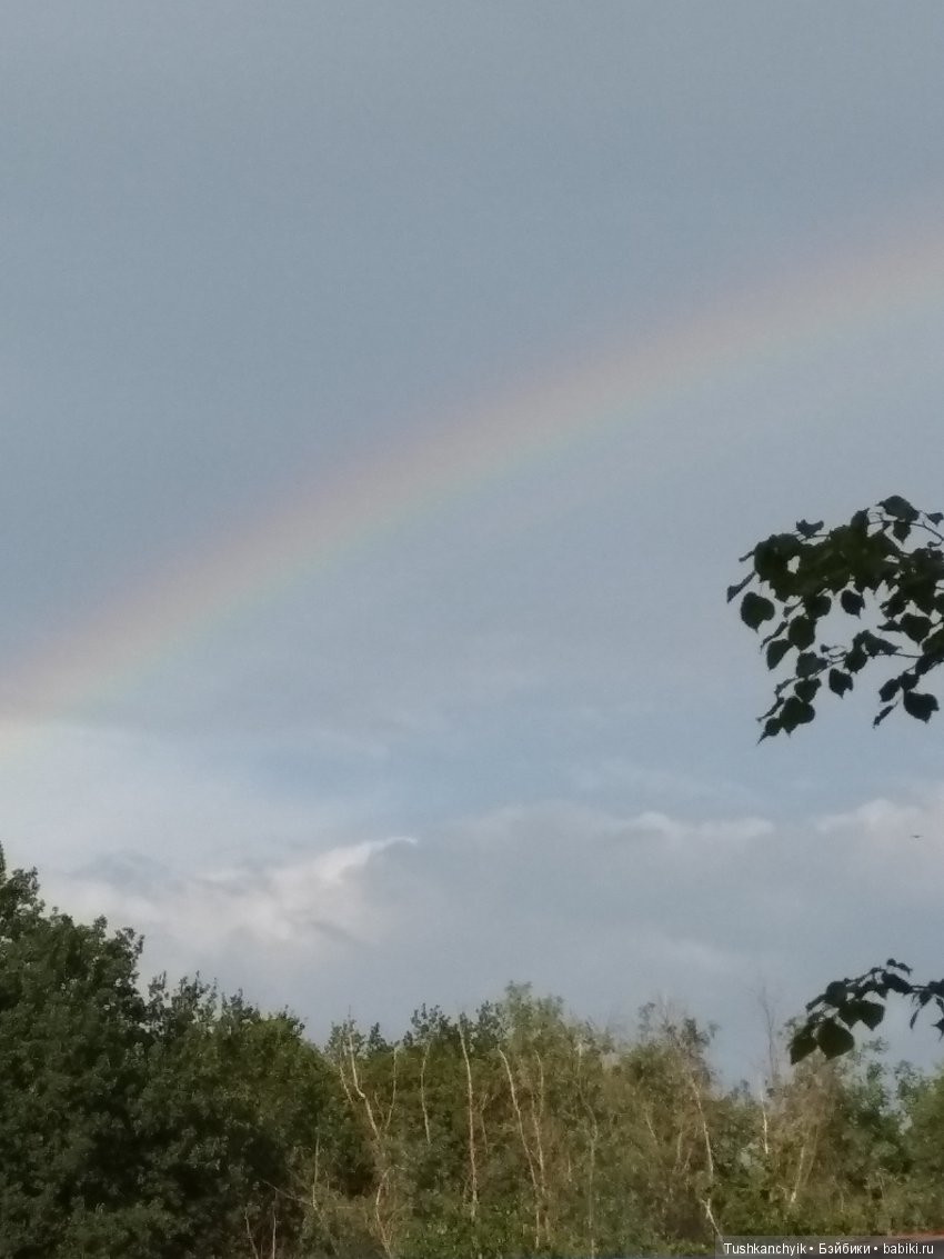 Каролинка и Марик. Дождь 2. или, наконец-то, немножко погуляли