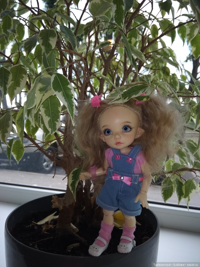 Каролинка и Марик. Настоящее кафе (фото 4)