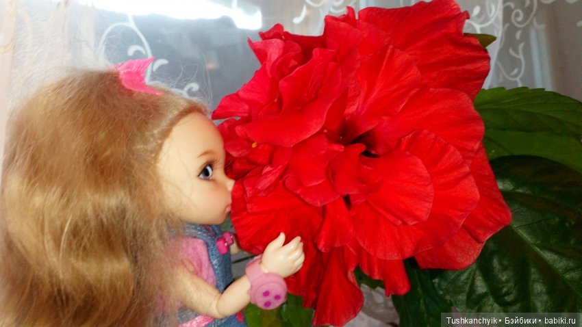 Каролинка и Марик. Дождь 2. или, наконец-то, немножко погуляли (фото 2)