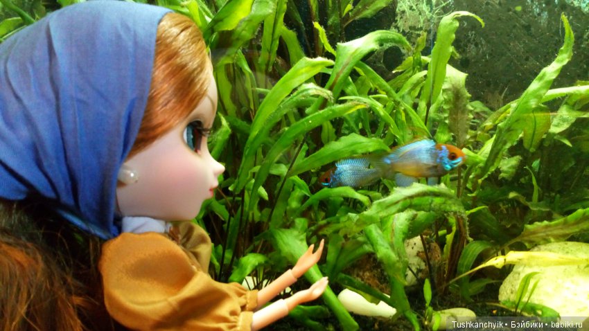 Куколка Pullip (пуллип). Девушка с жемчужной сережкой наконец-то выбрала себе имя (фото 8)