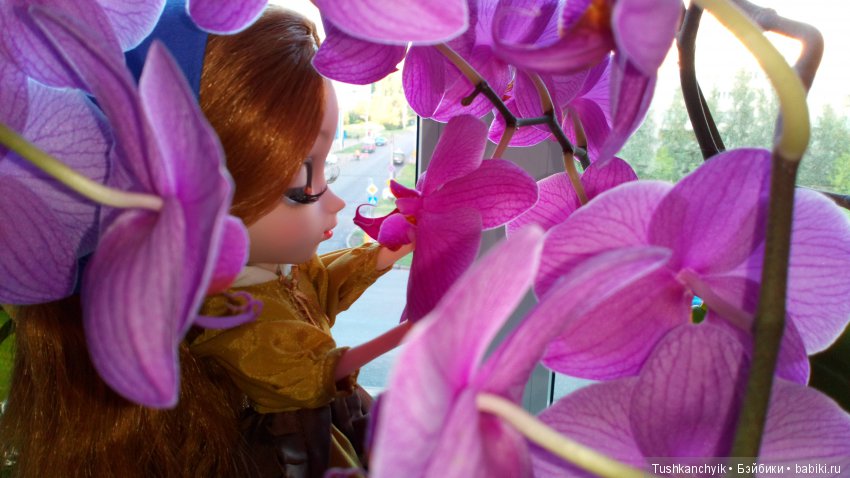 Куколка Pullip (пуллип). Девушка с жемчужной сережкой наконец-то выбрала себе имя (фото 2)