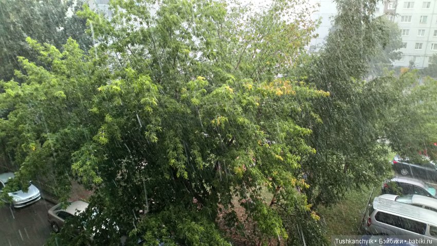 Каролинка и Марик. Парк — Куклы Fairyland (ФэйриЛэнд): BJD (БЖД)