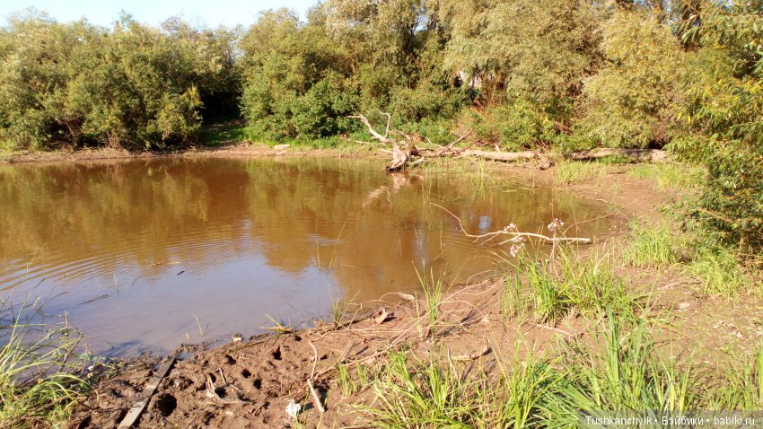 Хлоюшка Kruselings. Горошковое настроение. Ч.2. Убежала (фото 4)