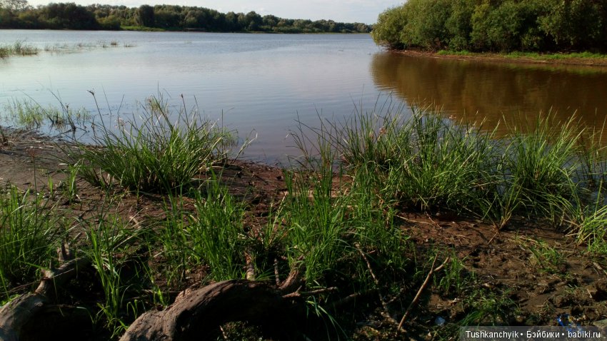 Хлоюшка Kruselings. Горошковое настроение. Ч.2. Убежала (фото 2)