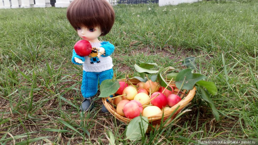 Каролинка и Марик. Урожай. Яблоки