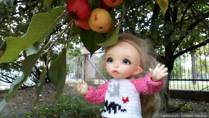 Каролинка и Марик. Урожай. Яблоки