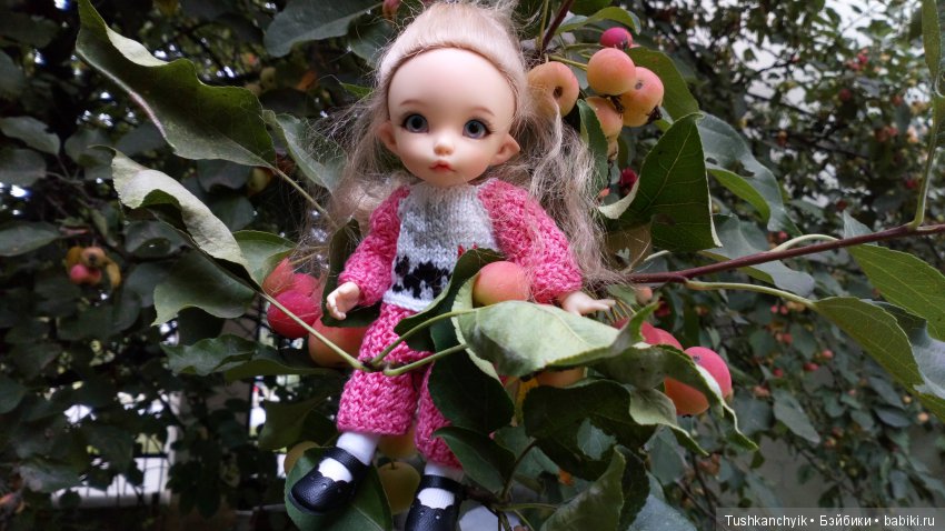 Каролинка и Марик. Урожай. Яблоки