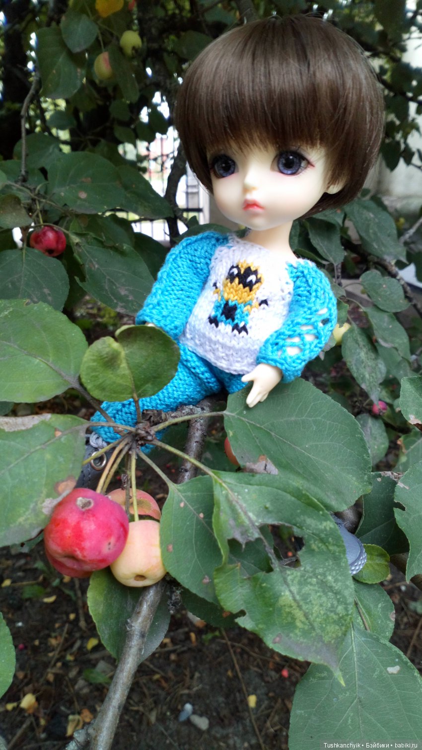 Каролинка и Марик. Урожай. Яблоки