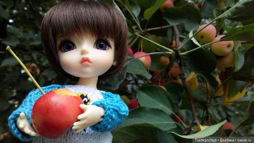 Каролинка и Марик. Урожай. Яблоки