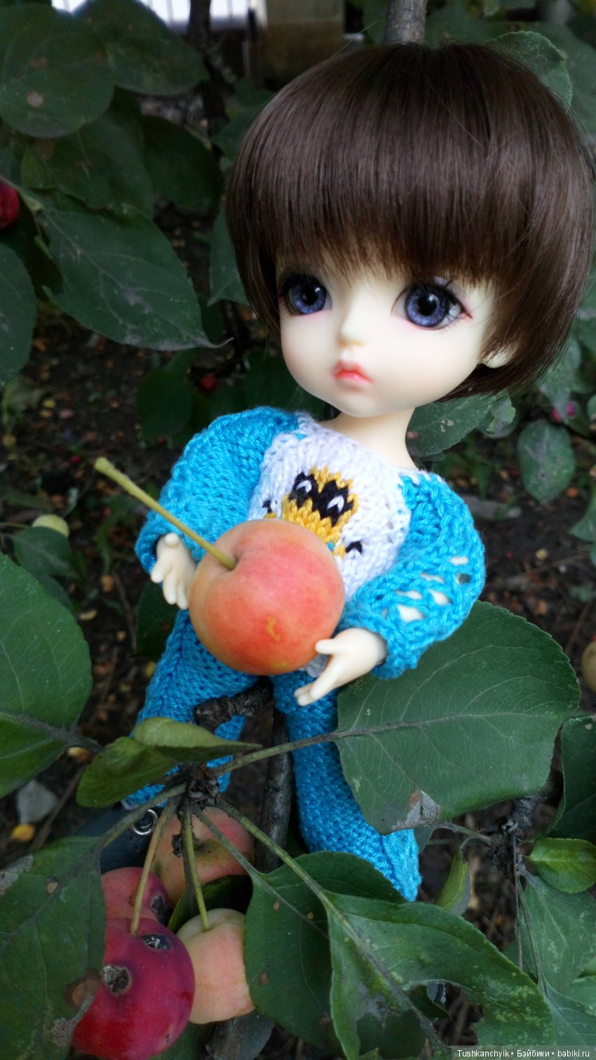 Каролинка и Марик. Урожай. Яблоки