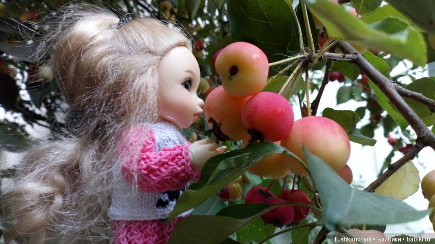 Каролинка и Марик. Урожай. Яблоки