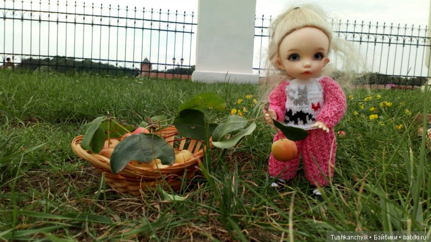 Каролинка и Марик. Урожай. Яблоки (фото 8)