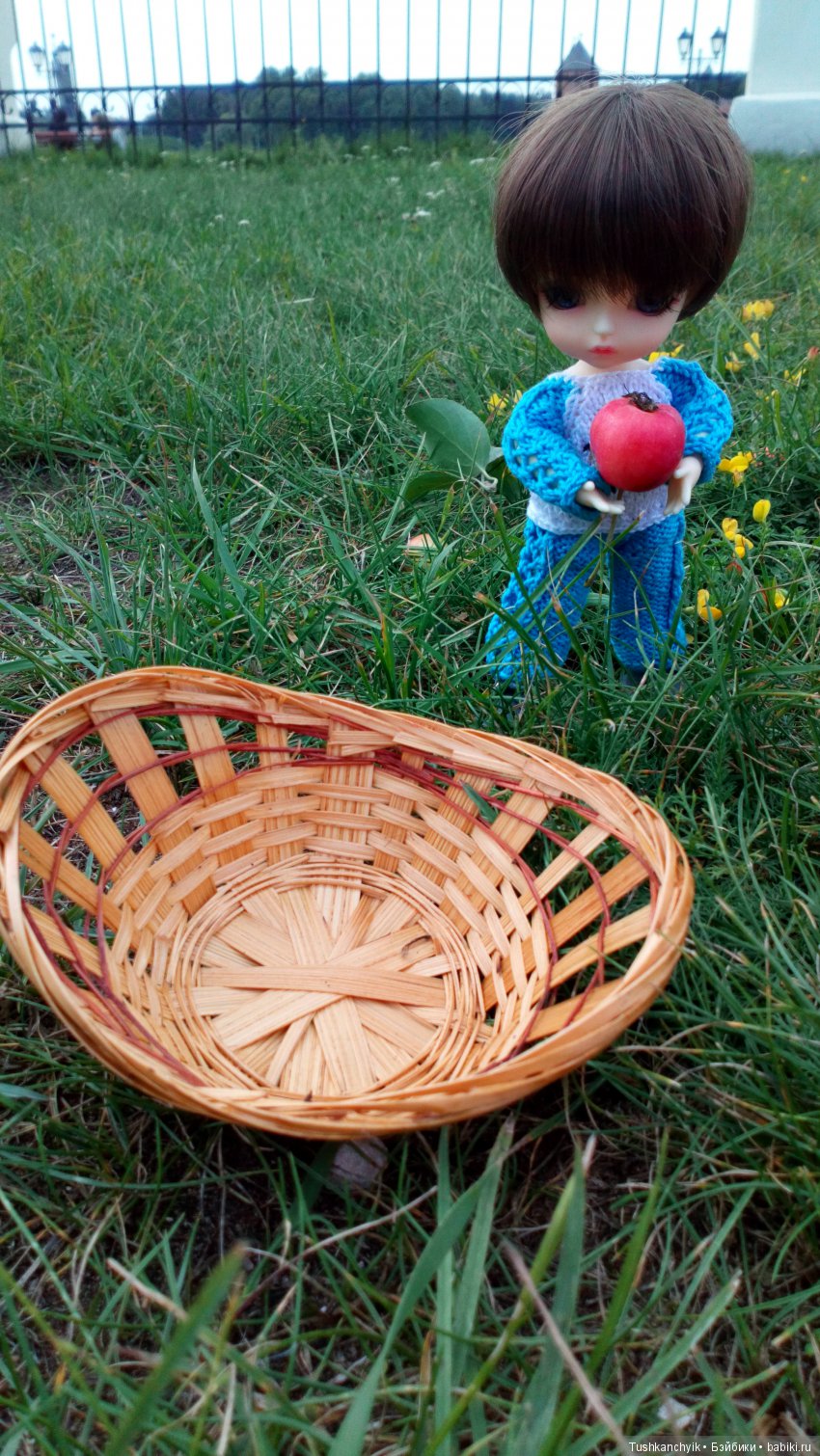 Каролинка и Марик. Урожай. Яблоки (фото 7)