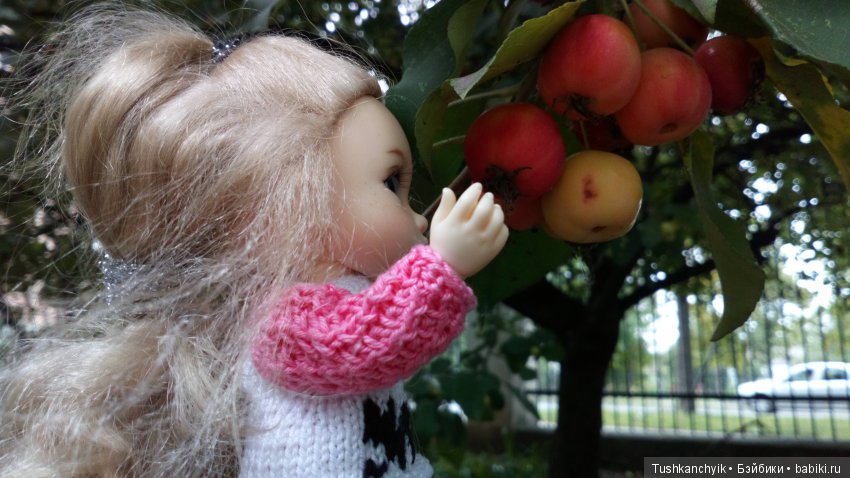 Каролинка и Марик. Урожай. Яблоки