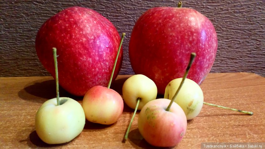 Каролинка и Марик. Урожай. Яблоки